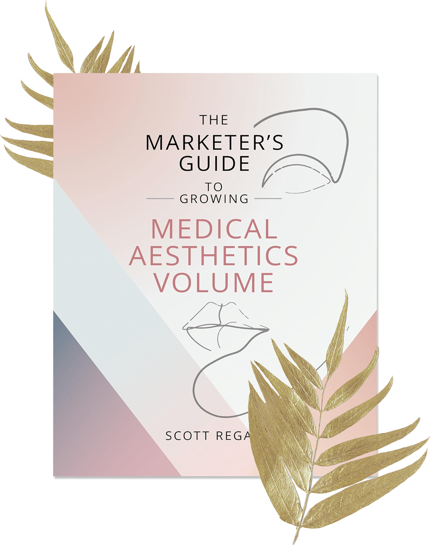 The cover of “The Marketer's Guide to Growing Medical Aesthetics Volume”