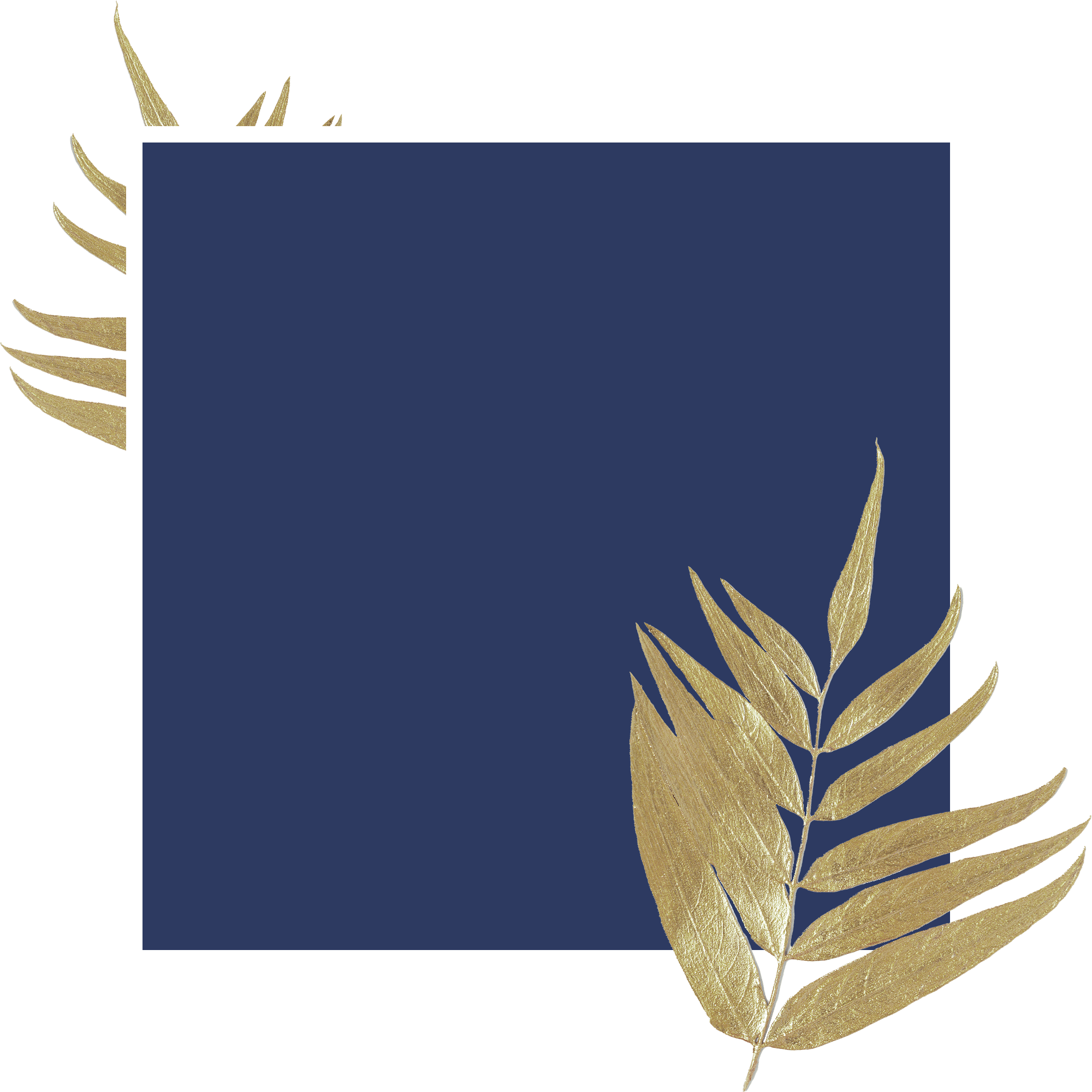 Headshot templates